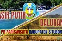 Ilustrator; Mashur Imam. Cuplikan layar Website Resmi Pemkab Situbondo dan TN Baluran