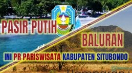 Ilustrator; Mashur Imam. Cuplikan layar Website Resmi Pemkab Situbondo dan TN Baluran