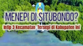 Tanggpan Layar Website Resmi Kabupaten SItubondo, Editor Mashur Imam