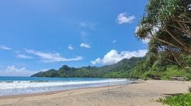 Landscape Alam di Pantai Bandealit Jember (Foto: google.com/Zaid Syahrul