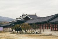 Sumber Foto: Tranmautritam - Pexels