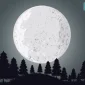Ilustrasi, Sumber; Freepik