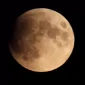 Gambar tangkapan layar akun Instagram aboutngawi