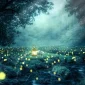 Ilustrasi gambar, sumber Pixabay by admin Yuri_B