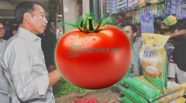 Ikustrasi, Sumber: Akun X @Jokowi dan Freepik