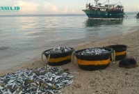 Gambar Hasil Alande Masyarakat Mandangin Sampang (Sumber: Istimewa)