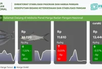 Gambar Harga Sembako (Sumber:Bapanas)
