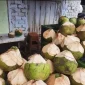 Gambar tangkapan layar akun Instagram Ig.basenk
