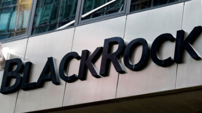 Black Rock - Perusahaan Investasi asal Amerika Serikat.