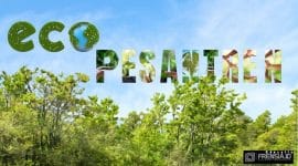 Gambar Akademisi Sebut Eco-Pesantren Jalan Pendidikan Konservasi Hutan (Sumber:Canva)