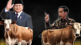 Gambar Hewan Kurban Prabowo Tak Sebanyak Presiden Jokowi (Sumber: Canva)