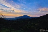 Gambar Alas Bayur, Puncak Situbondo Yang Tawarkan Bentang Alam Eksotis (Istimewa/Mashur Imam)