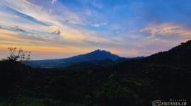 Gambar Alas Bayur, Puncak Situbondo Yang Tawarkan Bentang Alam Eksotis (Istimewa/Mashur Imam)