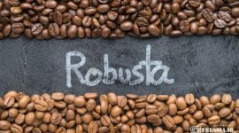 Gambar Ampas Biji Robusta, Setelah Diteliti Ternyata Bisa Bercita Rasa Mantap (Sumber: Canva)