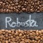 Gambar Ampas Biji Robusta, Setelah Diteliti Ternyata Bisa Bercita Rasa Mantap (Sumber: Canva)