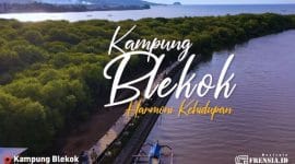 Gambar Ditemukan! 3 Kunci Suksesnya Pengembangan Wisata Desa Kampung Blekok (Sumber; Kanal Youtube Resmi Kabupaten Situbondo)
