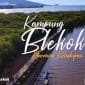 Gambar Ditemukan! 3 Kunci Suksesnya Pengembangan Wisata Desa Kampung Blekok (Sumber; Kanal Youtube Resmi Kabupaten Situbondo)