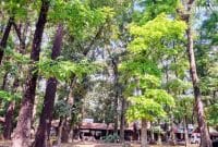 Gambar Sisi Eksotis Rest Area Jubung Jember, Tetap Menarik dan Menenangkan (Sumber: Istimewa/Mashur Imam)