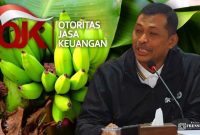 Gambar Pisang Cavendish Petani Bondowoso Dilirik OJK Jember, Jadi Andalan Pengembangan Ekonomi Masyarakat (Sumber: Istimewa/Imam)