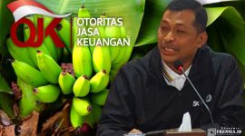 Gambar Pisang Cavendish Petani Bondowoso Dilirik OJK Jember, Jadi Andalan Pengembangan Ekonomi Masyarakat (Sumber: Istimewa/Imam)
