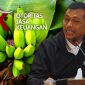 Gambar Pisang Cavendish Petani Bondowoso Dilirik OJK Jember, Jadi Andalan Pengembangan Ekonomi Masyarakat (Sumber: Istimewa/Imam)