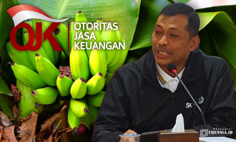Gambar Pisang Cavendish Petani Bondowoso Dilirik OJK Jember, Jadi Andalan Pengembangan Ekonomi Masyarakat (Sumber: Istimewa/Imam)