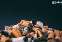 Gambar Puntung Rokok, Bisa Diekstrak Menjadi Insektisida Bermanfaat (Sumber: Canva)