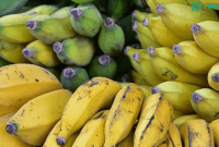 buah pisang (sumber: pixabay)