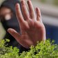 Gambar Pesantren Rawan Pelecehan Perempuan, 4 Rekomendasi Dari Peneliti Agar Tetap Dipercaya (Sumber: Canva)