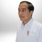 Gambar Era Kepemerintahan Jokowi, Banyak Persinggungan Ideologi di Media Asal-Asalan (Sumber: Canva/Frensia/Grafis)