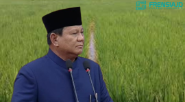 Apa Sebenarnya Maksud Swasembada Pangan (Ilustrasi/arif)