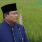Apa Sebenarnya Maksud Swasembada Pangan (Ilustrasi/arif)
