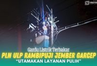 Gambar Gardu Listrik Terbakar, PLN ULP Rambipuji Jember Garcep, Utamakan Layanan Pulih (Sumber: Frensia/Mashur Imam)