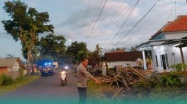 Kepolisian Selidiki Motif Pelaku Intimidasi yang Menjadi Penyebab Kecelakaan 4 Pemotor di Jember Hingga 1 Korban Tewas  (Sumber foto: Istimewa)
