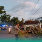 Kepolisian Selidiki Motif Pelaku Intimidasi yang Menjadi Penyebab Kecelakaan 4 Pemotor di Jember Hingga 1 Korban Tewas  (Sumber foto: Istimewa)