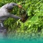 Miris! Seorang Bayi Laki-Laki Ditemukan Ditepi Sawah, Begini Kronologinya (Sumber foto: Sigit/Frensia.Id)