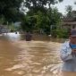 8 Desa di Jember Terendam Banjir Akibat Diguyur Hujan Lebat-Air Sungai Meluap, Ribuan Warga Terdampak (Sumber: Tangkapan layar video banjir di Jember)