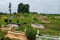 rumput di kuburan