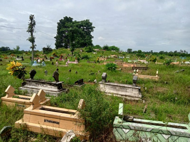 rumput di kuburan