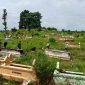 rumput di kuburan