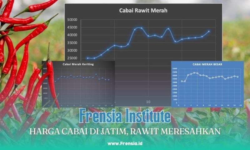 Gambar Harga Cabai di Jatim, Rawit Meresahkan (Sumber: Frensia Grafis)