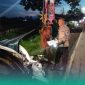 Gambar Kereta Api Tabrak Mobil di Jember, Pemicunya Palang Pintu Lintasan Tak Tertutup (Sumber: Istimewa/Frensia.id)