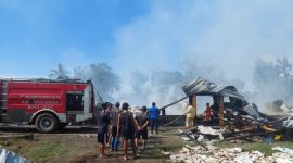 Kebakaran Kandang Ayam di Semboro Jember, Kerugian Mencapai 1,4 Miliar (Sumber foto: Istimewa)