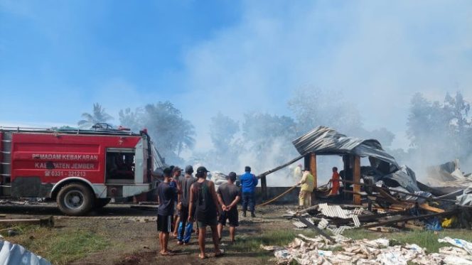 Kebakaran Kandang Ayam di Semboro Jember, Kerugian Mencapai 1,4 Miliar (Sumber foto: Istimewa)