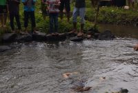 Pria 24 Tahun Ditemukan Tewas di Aliran Sungai Ledokombo Jember (Sumber foto: Istimewa)