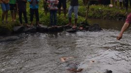 Pria 24 Tahun Ditemukan Tewas di Aliran Sungai Ledokombo Jember (Sumber foto: Istimewa)