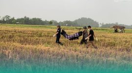 Gambar Mayat Lansia Ditemukan di Pinggir Sungai Ajung Pancakarya Jember (Sumber: Istimewa)