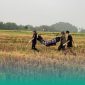 Gambar Mayat Lansia Ditemukan di Pinggir Sungai Ajung Pancakarya Jember (Sumber: Istimewa)