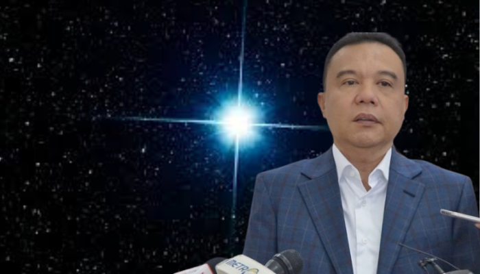Wakil Ketua DPR RI Sufmi Dasco Ahmad (Ilustrasi: Arif)