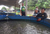 Heri Nova (kaos hitam) sedang memberi pakan Lele (Foto: Arif)